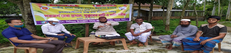 মৎস্য পরামর্শ সেবা