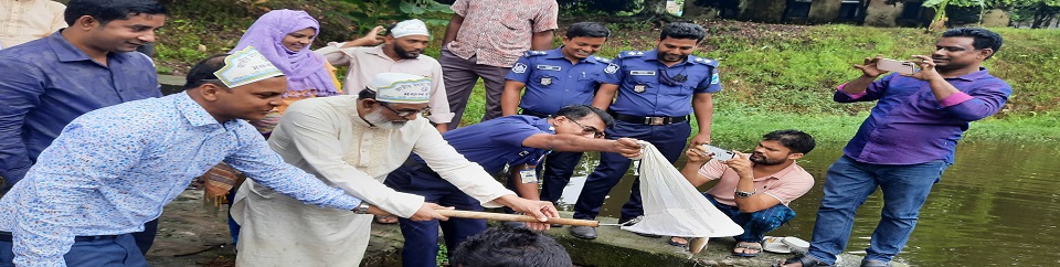 পোনা অবমুক্তকরণ