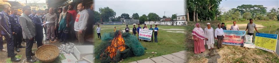 আইন বাস্তবায়ন