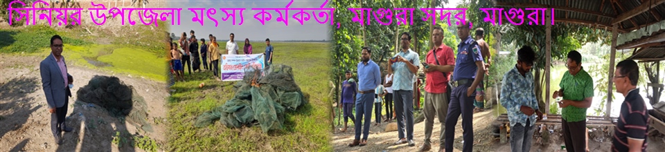 সিনিয়র উপজেলা মৎস্য কর্মকার্তার কার্যালয়, মাগুরা সদর, মাগুরা।