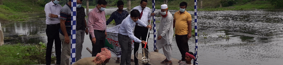 পোনা অবমুক্তকরন