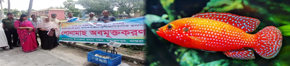 পোনা অবমুক্তকরণ