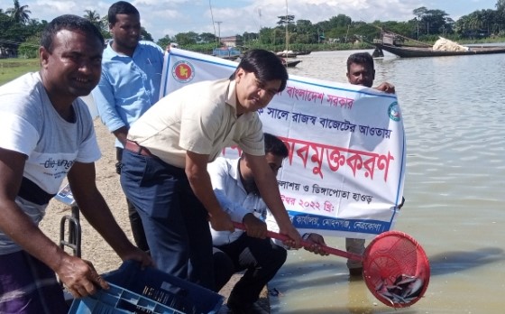 পোনা অবমুক্তি, জেলা মৎস্য অফিসার