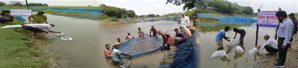 বিল নার্সারিঃ ২০২২-২৩