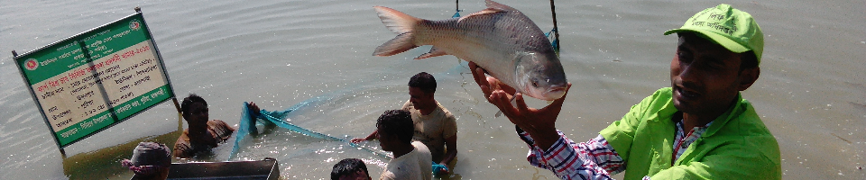 উপজেলা মৎস্য অফিস
