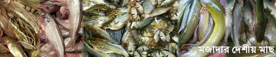 দেশীয় মাছ