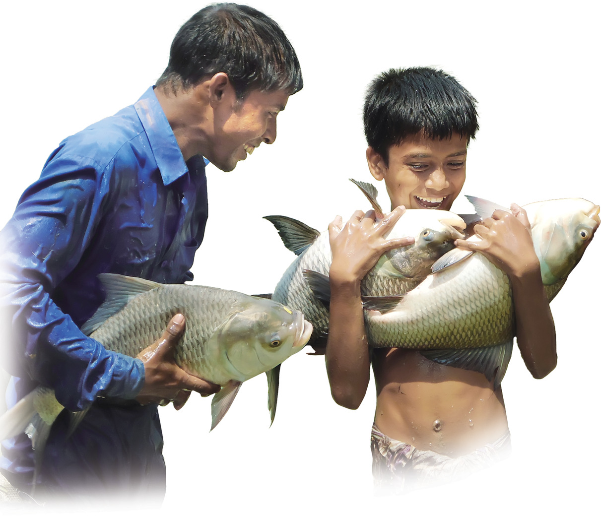 মাছের ছবি
