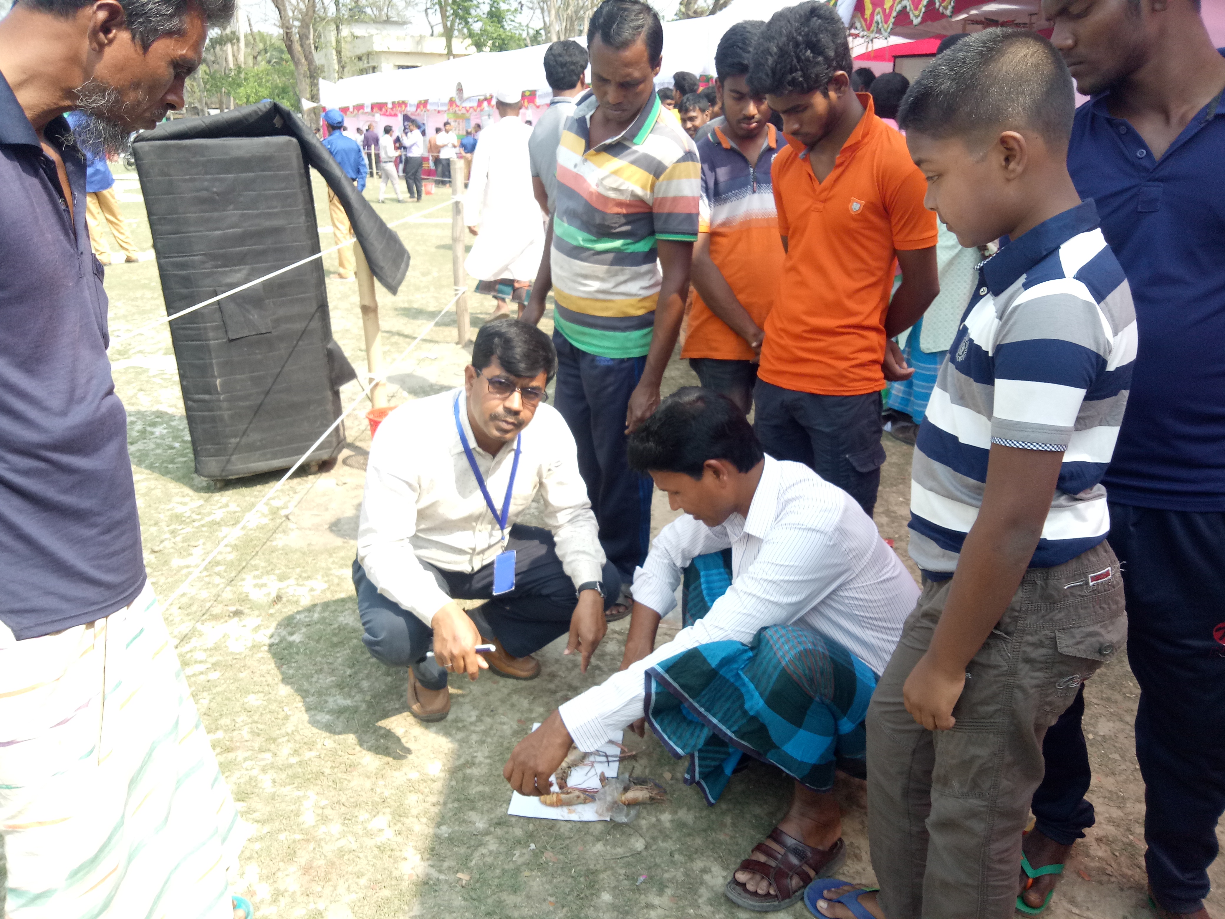 সিনিয়র উপজেলা মৎস্য অফিসার আগত চিংড়ি চাষীকে চিংড়ি মারা যাওয়ায় পরামর্শ সেবা দিচ্ছেন।