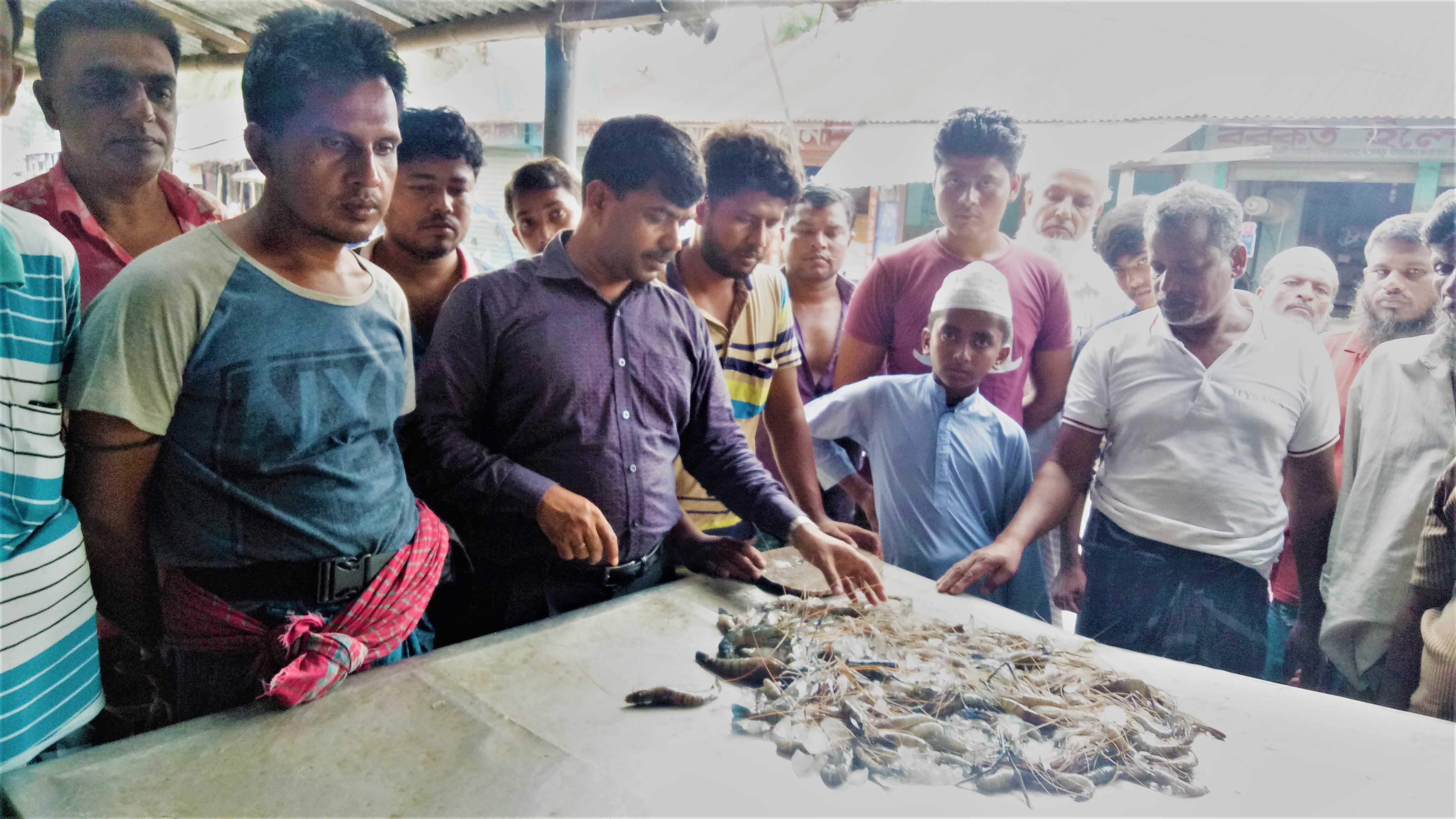 আলাউদ্দিনের মৃত চিংড়ি