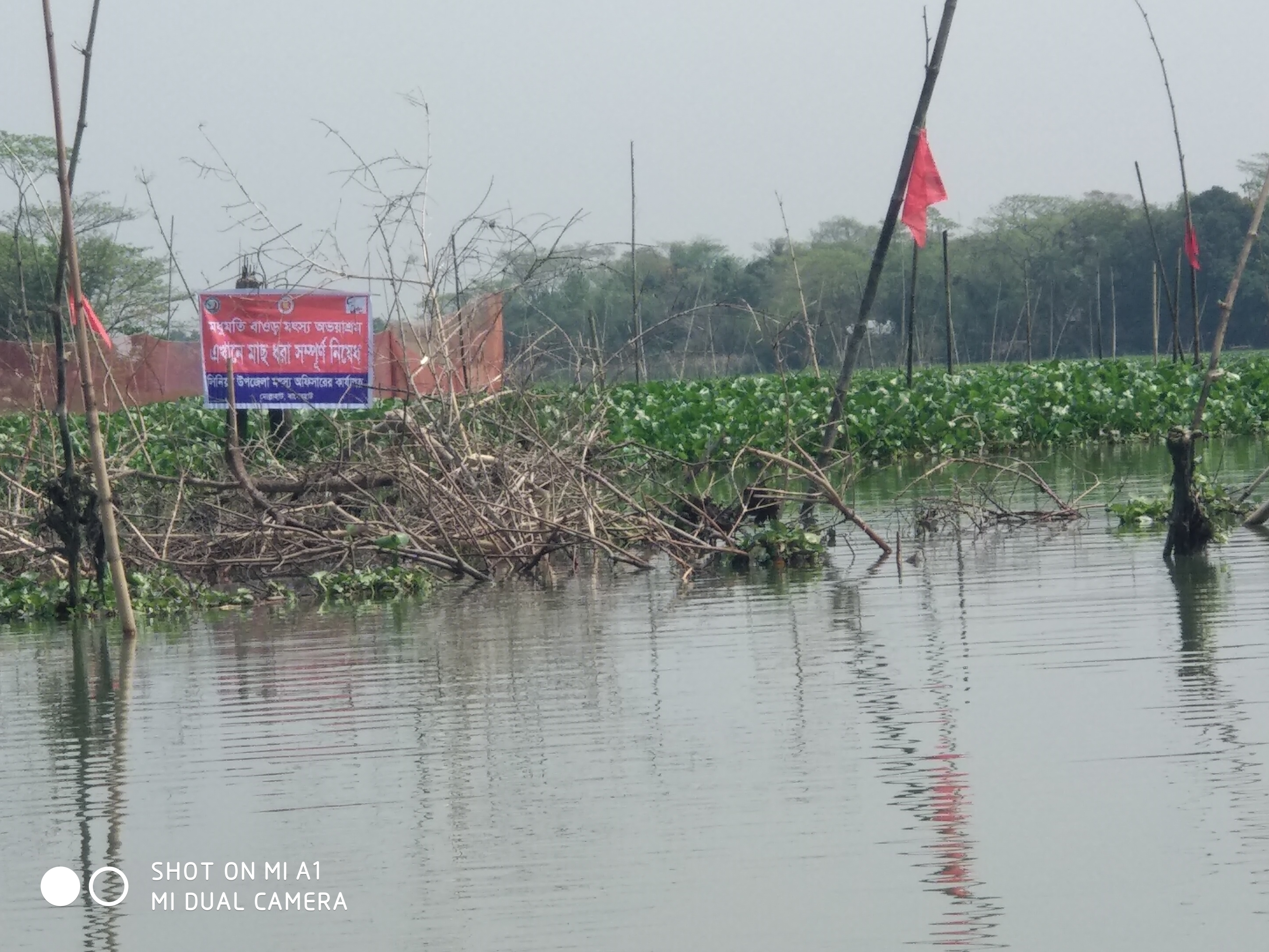 Service Process Simplification