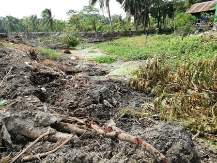 Service Process Simplification