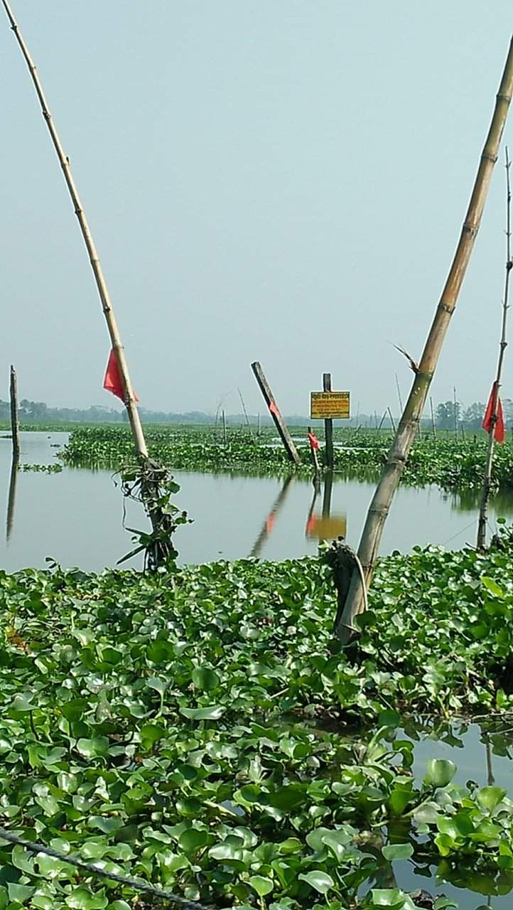 Service Process Simplification