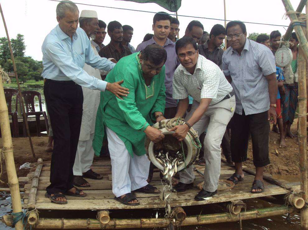 মৌলভীবাজার-৩ আসনের মাননীয় জাতীয় সঙসদ সদস্য কর্তৃক পোনা অবমুক্তি