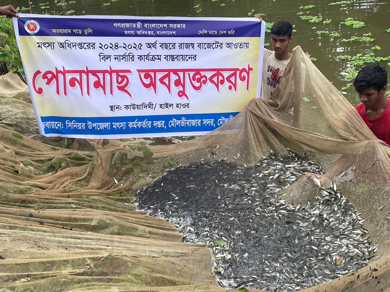 বিল নার্সারি