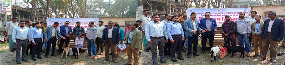 ফটো গ্যালারি-মুলাদী