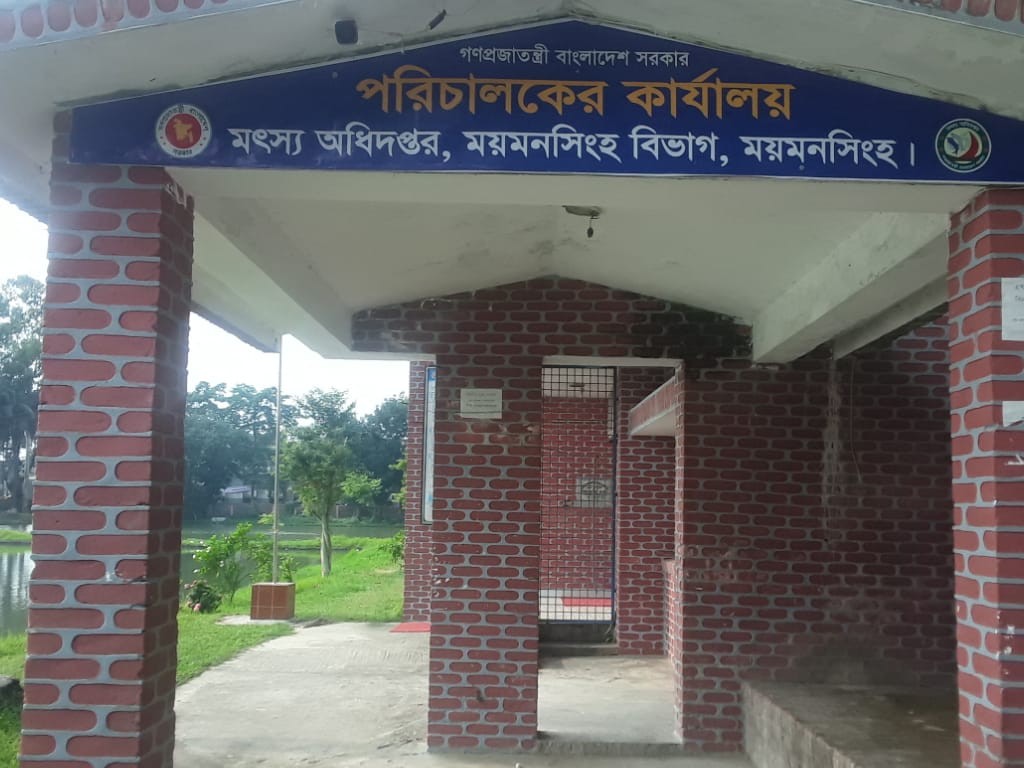 ব্যানার