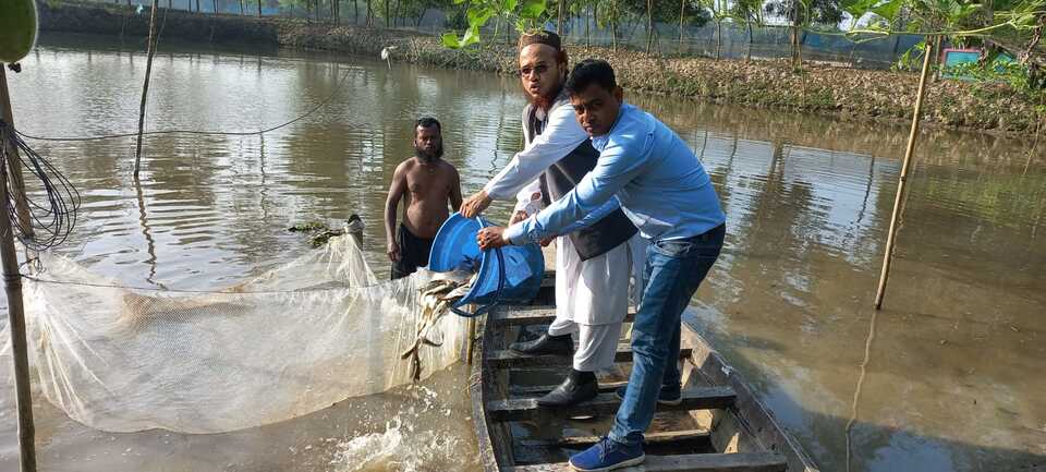 ২৩-২৪ অর্থ বছরে বাস্তবায়িত প্রদর্শনী খামারে পোনামাছ অবমুক্তকরণ।