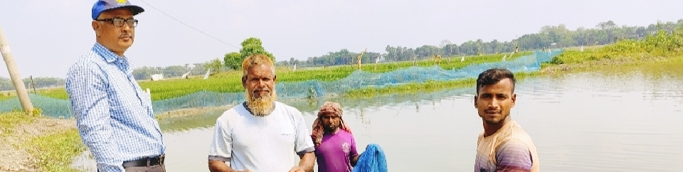 বিল নার্সারি