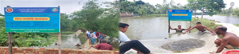 বিল নার্সারি