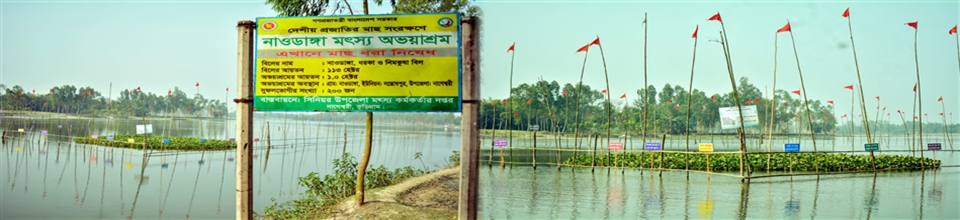 অভয়াশ্রম-২