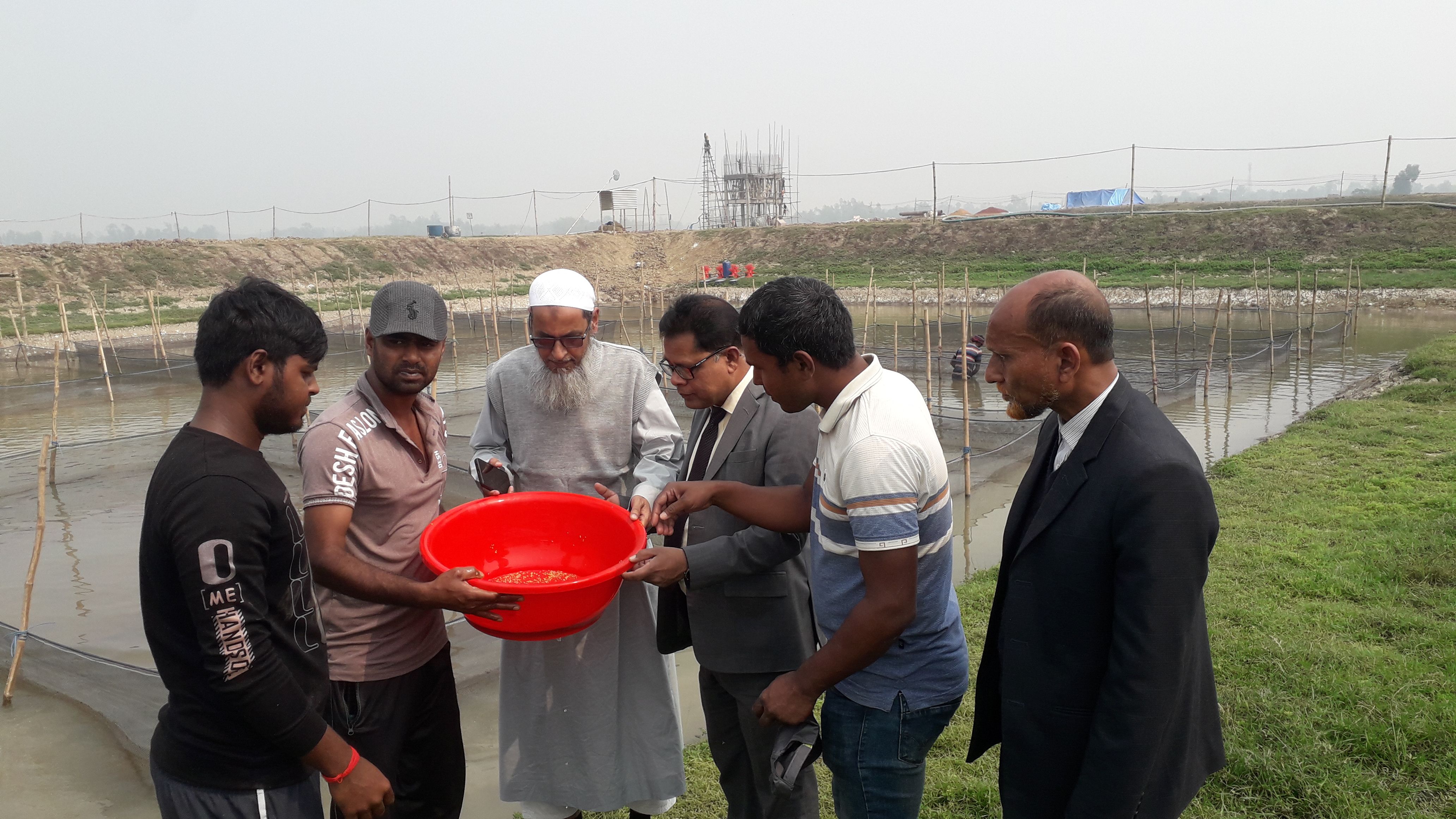 পরিদর্শন