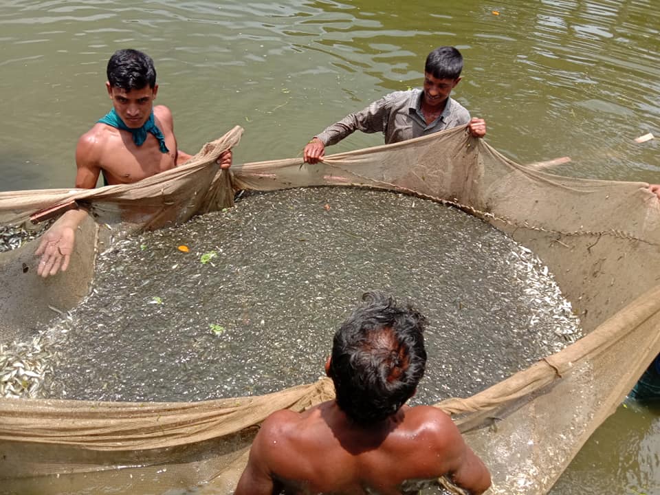 রাজস্ব কার্যক্রমের স্থিরচিত্র