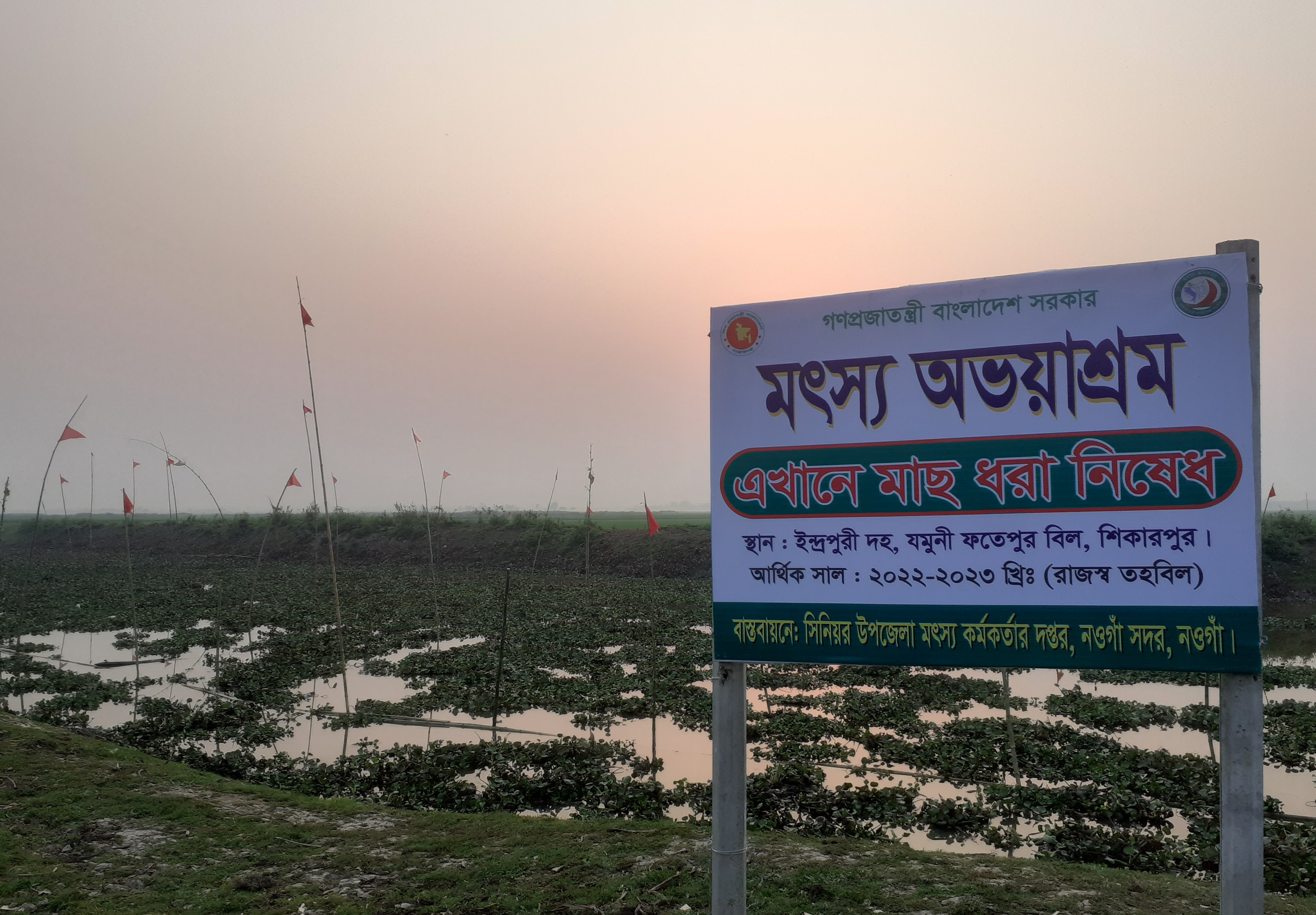 মৎস্য অভয়াশ্রম