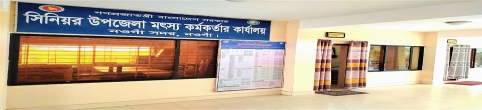 অফিস