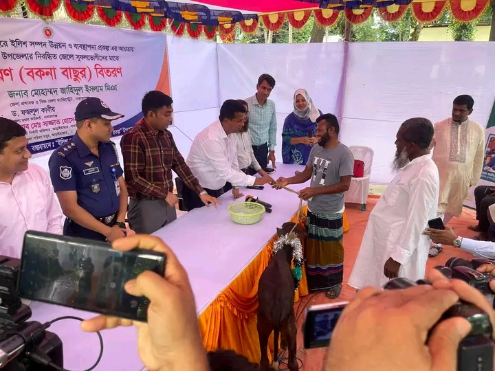 এ আই জি এ বিতরণ