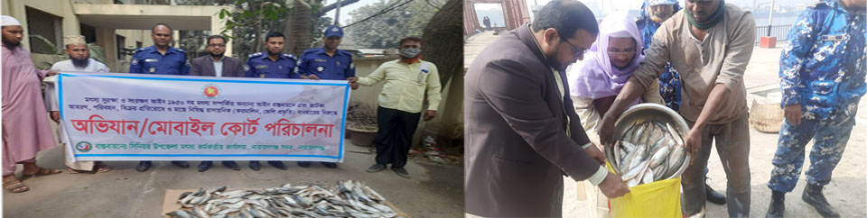 মৎস্য আইন বাস্তবায়ন