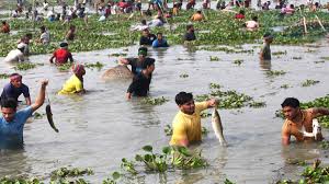 মাছ ধরা উৎসব