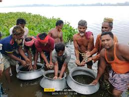 বিল নার্সারি