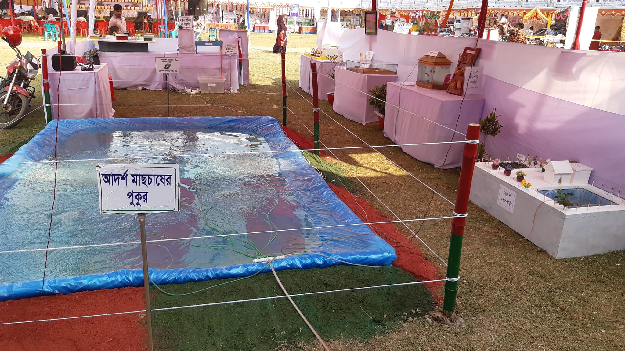 সুবর্ণ জয়ন্তী মেলা উদযাপন