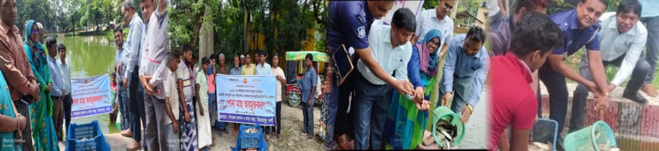 পোনা অবমুক্তকরণ