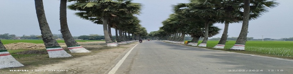 ঘুঘুডাঙ্গা