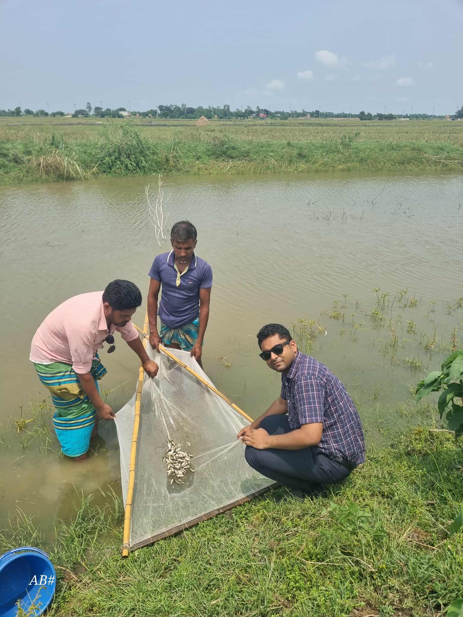 বিল নার্সারী কার্যাক্রম বাস্তবায়ন।