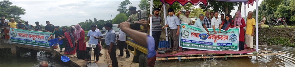 পোনা অবমুক্তকরণ