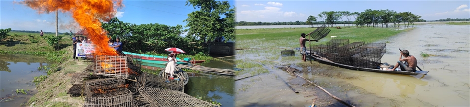 বাঁধ উচ্ছেদ