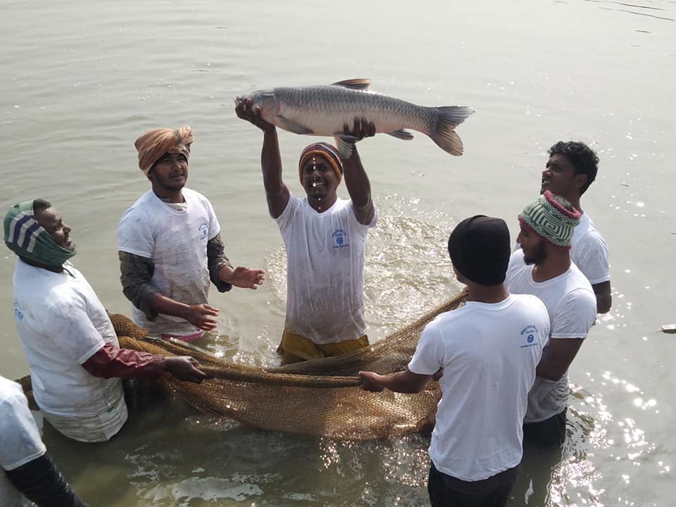মেজো ভাই মৎস্য খামার