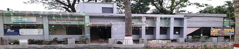 ব্যানার