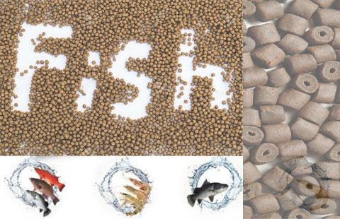 মাছচাষের উপকরণ প্রাপ্তির তথ্য ও উৎস