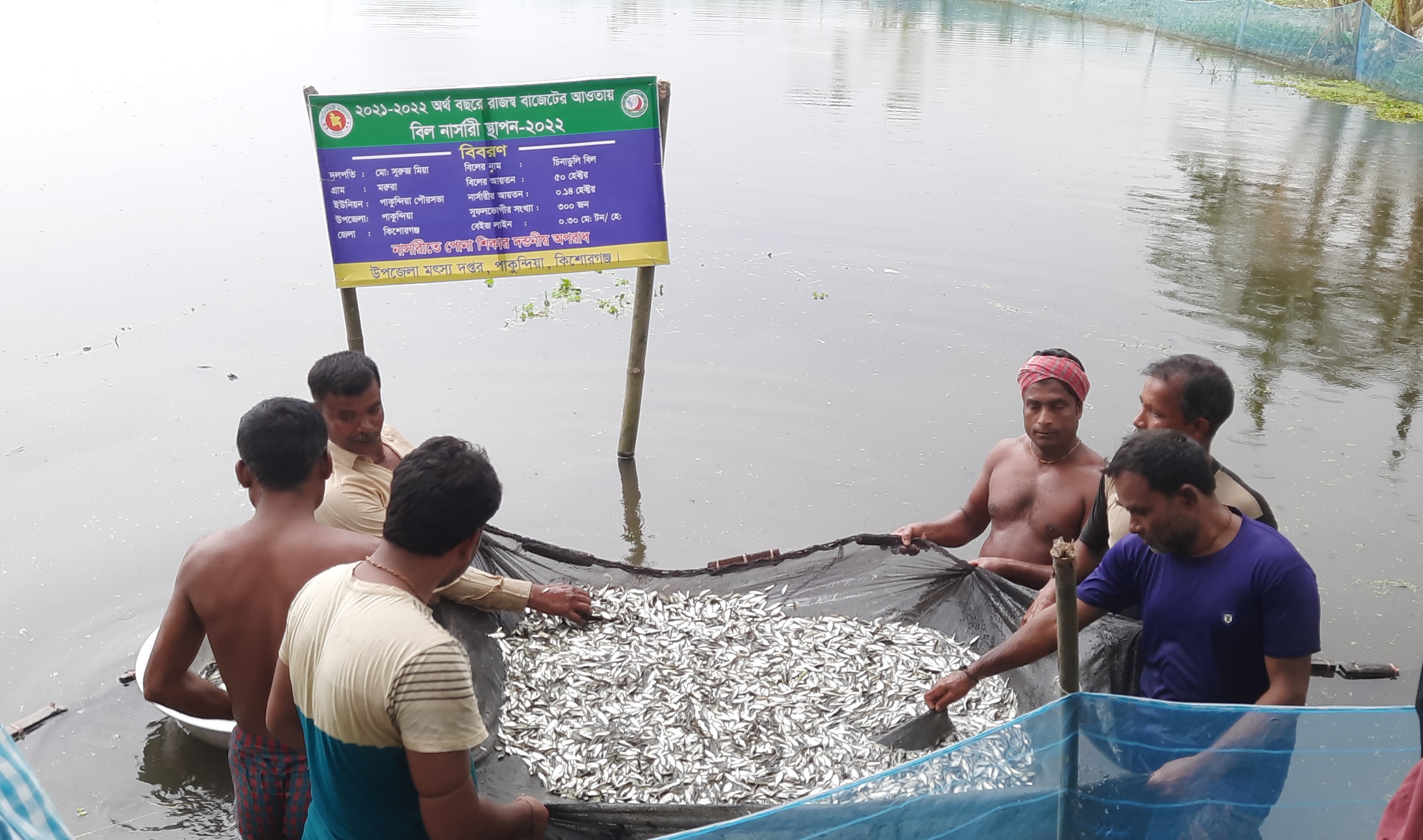 বিল নার্সারী কার্যক্রম