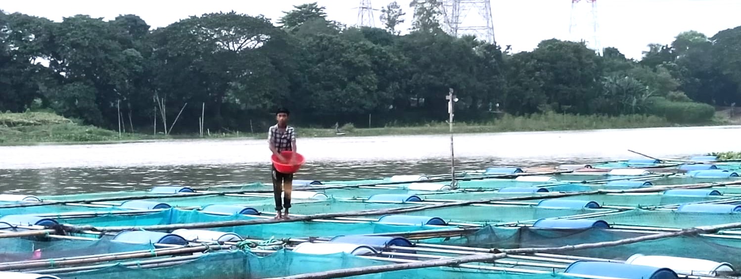 ব্যানার