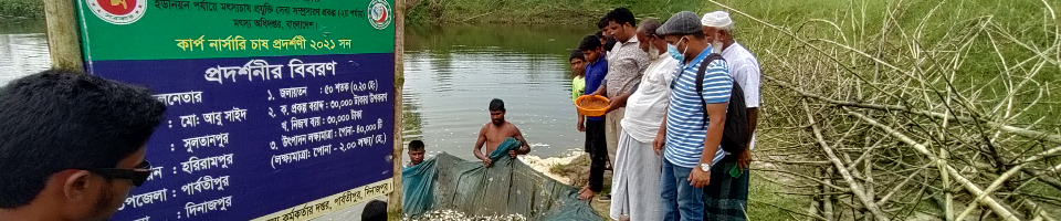 প্রদর্শনী বাস্তবায়ন