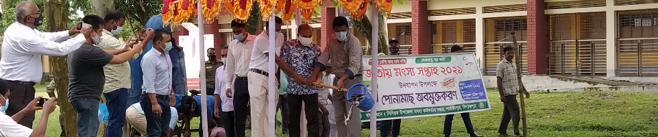 পোনা মাছ অবমুক্ত করন