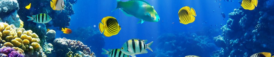 মৎস্য ও প্রাণিসম্পদ মন্ত্রাণালয়