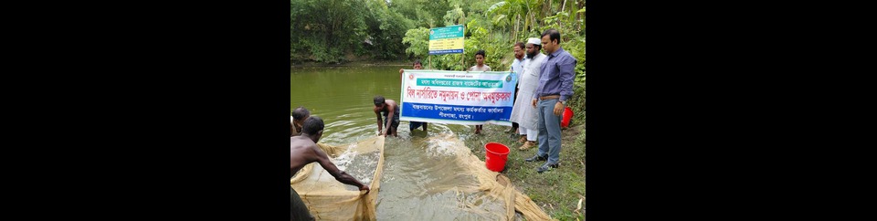 বিল নার্সারিতে পোনা নমুনায়ন ও পোনা অবমুক্তি