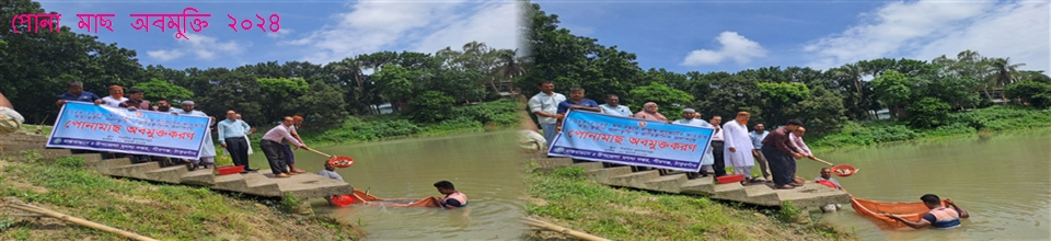 পোনা মাছ অবমুক্তি ২০২৪