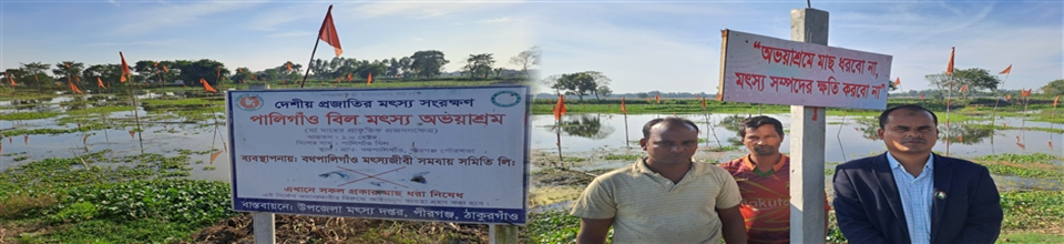 পালিগাঁও বিল মৎস্য অভয়াশ্রম