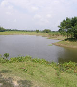 দেশীয় প্রজাতির মৎস্য সংরক্ষনে ভূমিকা রাখছে টাংগন নদীর অভয়াশ্রম